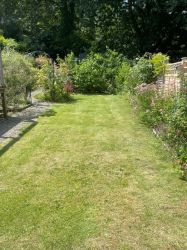 Peaceful rear garden