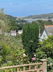View from elevated patio