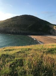 Mwnt