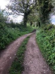 Lane Walk from the Property