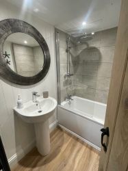 Main Family bathroom (downstairs)