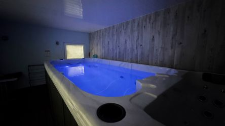 Swimspa pool