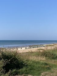 The Greensward walk on the way to the Bluebird Cafe