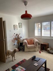 Lounge 2 Individual Chairs