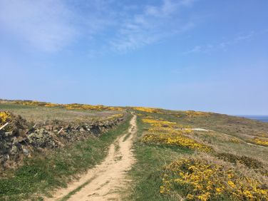 Trevose Head