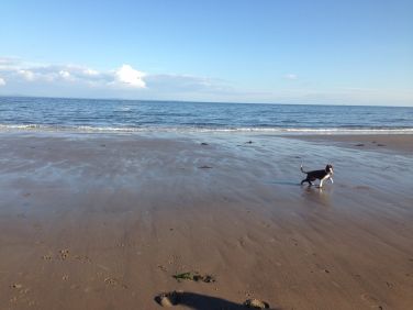 7 miles of sandy beach practically on your doorstep