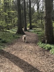 Sewerby has some lovely walks