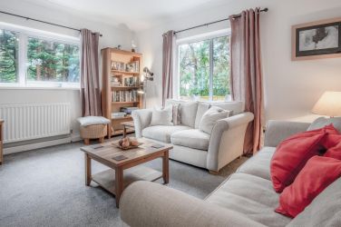 Comfy sofas, pets allowed if use a throw