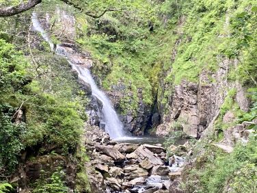 Coed y Brenin 15 minutes drive to walking, running and mountain bike trails