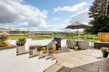 The patio area and steps leading to the lawn.