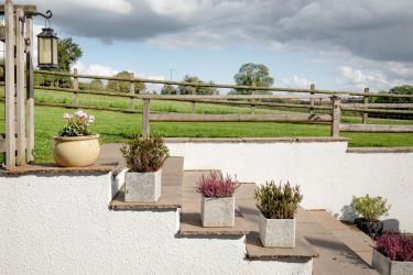 The steps from the patio up to the lawn.