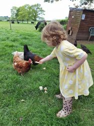 You are welcome to feed the chickens.