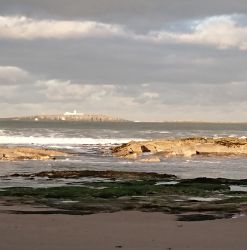 Inner Farne from Seahouses north beach