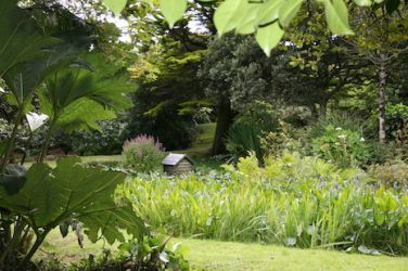 Woodland Garden - 2