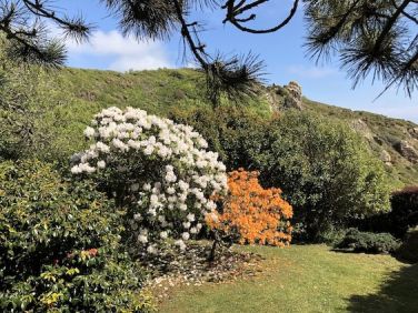 Woodland Garden - 3