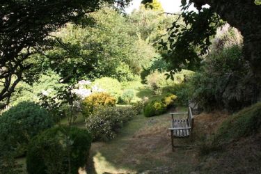 Woodland Garden - 5