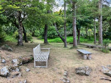Woodland Garden - 6