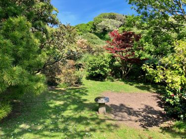 Woodland Garden - 1