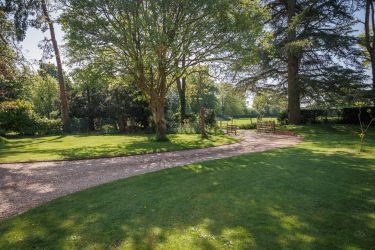 The garden