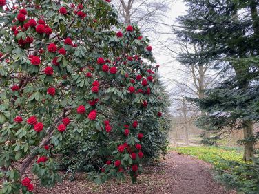 RHS Harlow Carr Gardens, Harrogate