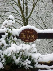 The Leap
