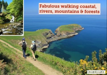 Fabulous dog friendly walking coast and country