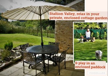 Enclosed private garden and patio