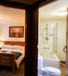 Downstairs toilet with shower over bath