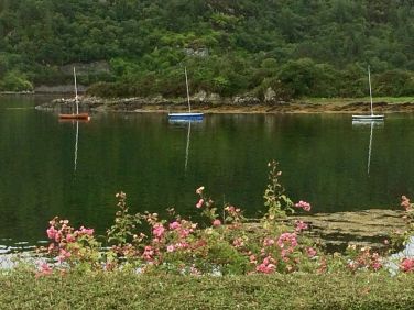 Traditional wooden sailing boats at rest in the bay