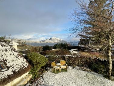 Garden Still charming mid winter