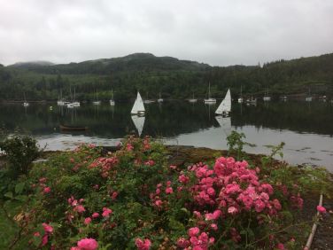 View from the secluded loch-side garden