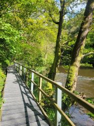 Boardwalk along the river in Cenarth.