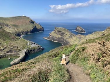 View of Boscastle from the coastal path