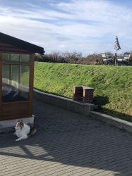 Barbecue area
