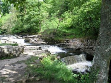 Stainforth Force