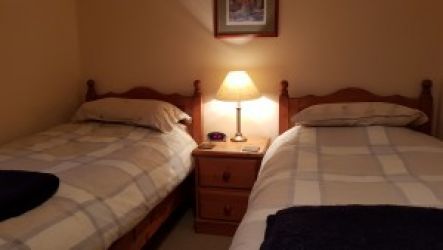 Twin bedroom with 3' pine beds