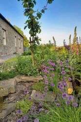 Cronkley Cottage