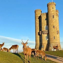 Broadway Tower & Deer Park