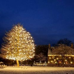 Broadway Tree of Light