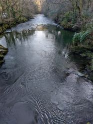 Superb river fishing the River Tavy,  10 mins from us