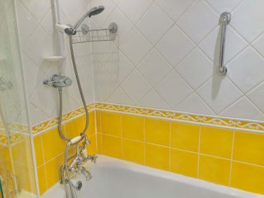 Grab rail and non sip mat with shower over full size bath