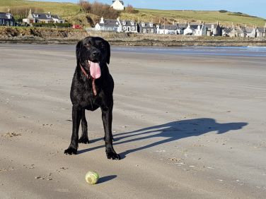 'Are you going to throw the ball?' on Sandend beach