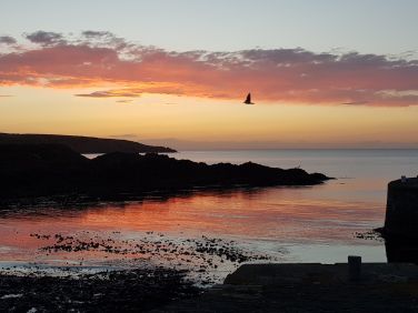 Sunset over the water