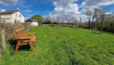 Orchard field bench for a morning coffee. Dogs can be let off the lead in this fully fenced field