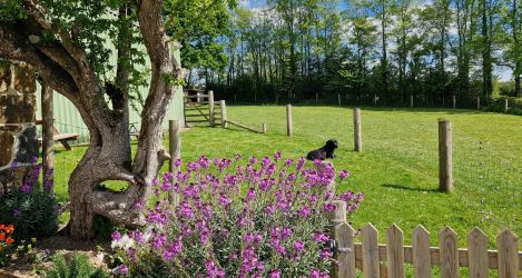 Dartmoor view seating area - fully fenced for dog owners