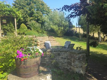 Beautiful plants and flowers throughout the garden