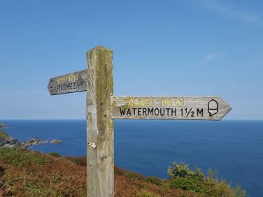 Whimbrels House