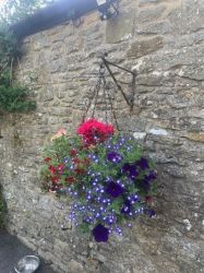 The Horseshoe Cottage