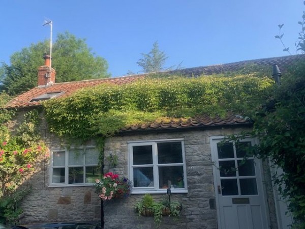 The Horseshoe Cottage