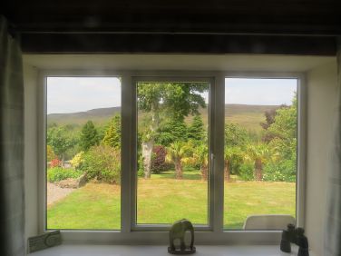 View from the lounge